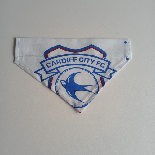 Cardiff city football - city, club
