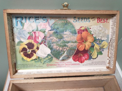 1895 rice flower seeds wood - 1895,