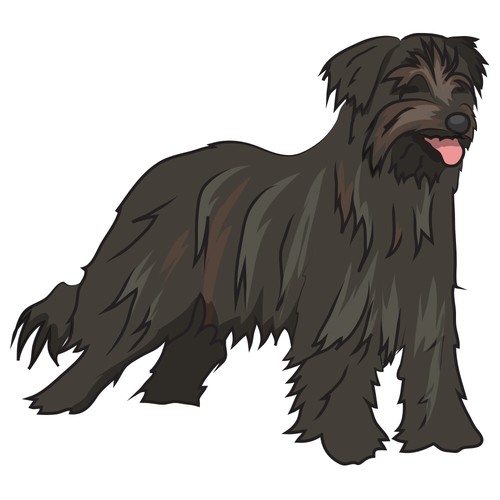 Pyrenean shepherd dog decal - shepherd,