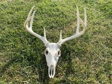 Artificial Deer with Antlers