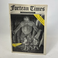 Fortean Times - Issue #31 -