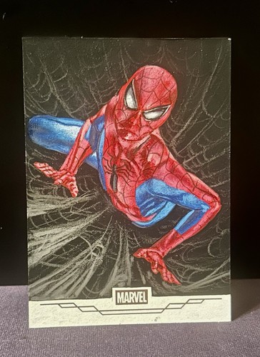 Spider man sketch 2025 - sketch, 1/1