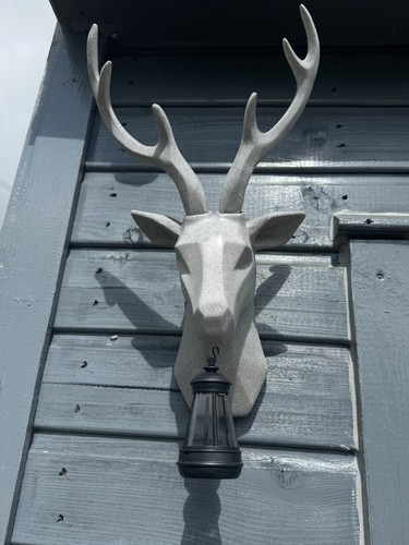 Deer head wall mount - wall,