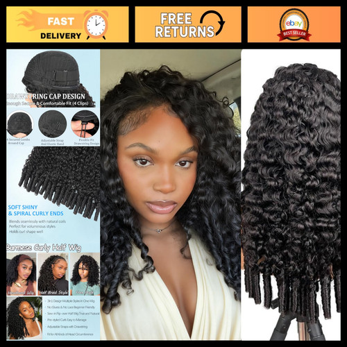 Burmese curly half - burmese, 200%