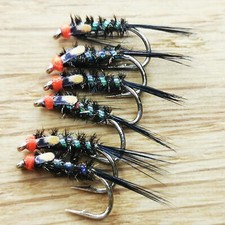 Hot Head Diawl Bach  size 12