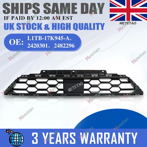 Front bumper lower grille - grille, trim