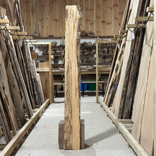 Spalted alder plank - plank, board