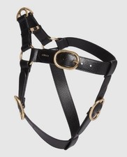 GUCCI Pet Dog Interlocking GG