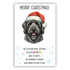 Bouvier des Flandres Dog