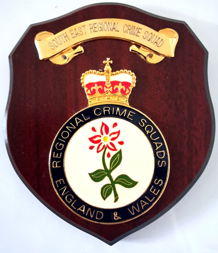 Regional crime squad - regional, police