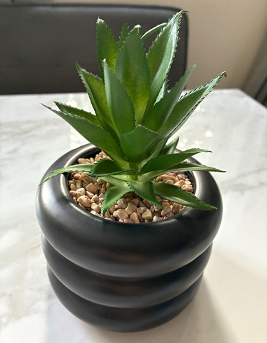 Artificial succulent black - artificial, in