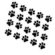 20x Paw Prints Vinyl Decal Stickers Cat Dog Car Van Window Bumper Wall - Black