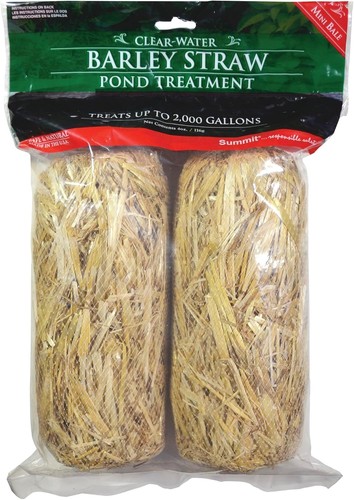 Summit clear water barley - clear-water,