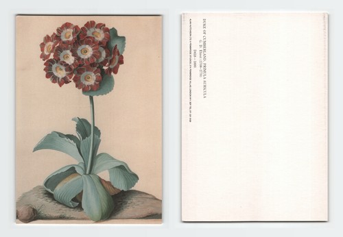 Vintage art card - vintage, of