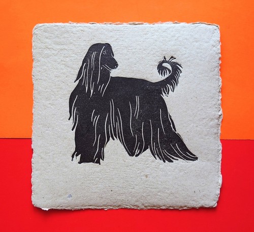 Afghan hound greyhound dog - hound,