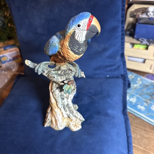 Bindi capodimonte blue - v, capodimonte?