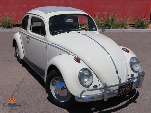 1962 volkswagen beetle - volkswagen,