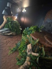 4ft Vivarium