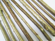 5 x 60cm Natural Hazel Sticks