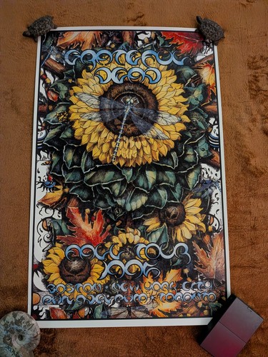 Grateful dead fall - grateful, tour