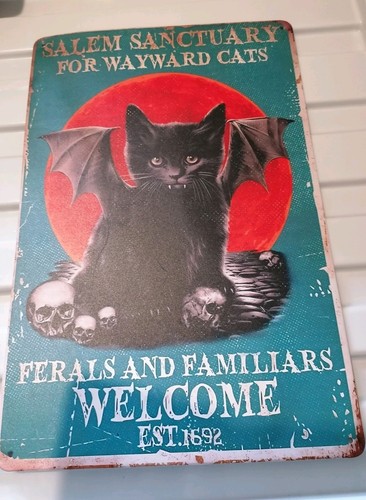 Salem witch cat metal - witch,