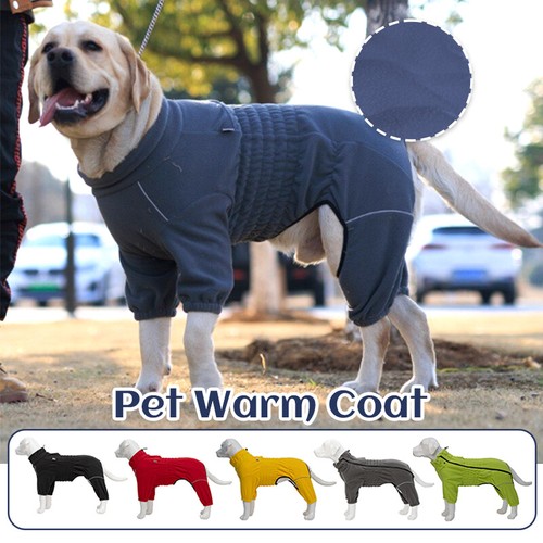 Winter warm polar - warm, 4