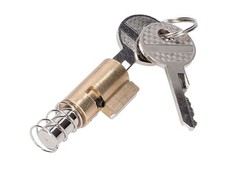 steering lock w/ 2 keys for