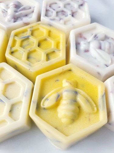 Lovely bee and - and, honeycomb
