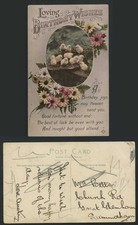 Chicks Birds Loving Birthday