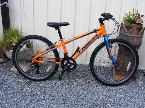 Boys girls tiger mtb warrior - girls,