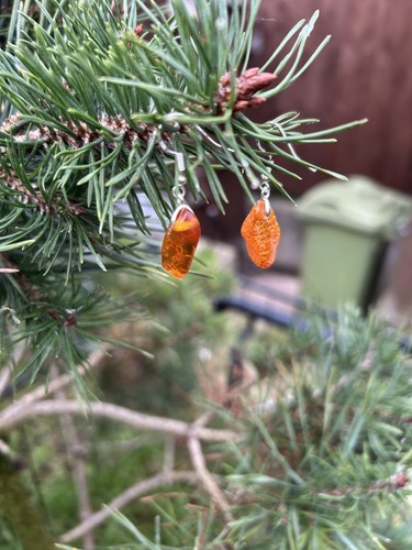 Earrings 100 natural amber - 100%,