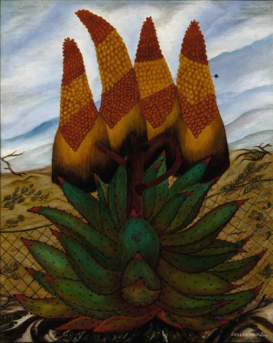 Josephine joy aloes 1935 - joy,