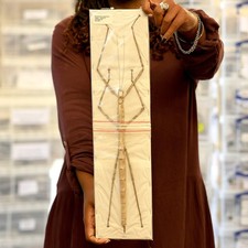 Very Large Stick Insect (Nesiophasma giganteum) A1 Entomology Specimens