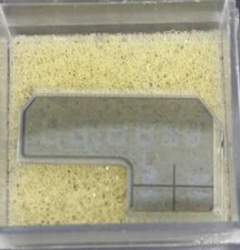 Citizen 8913A Vintage Display