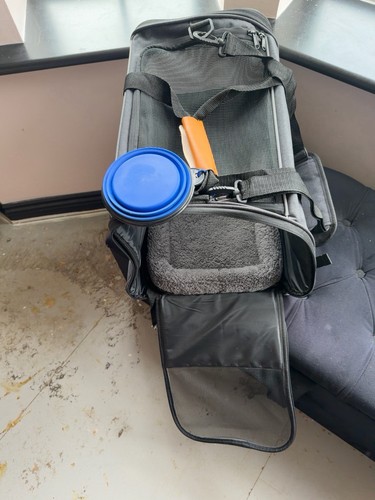 Morpilot pet carrier cat - cat, dog