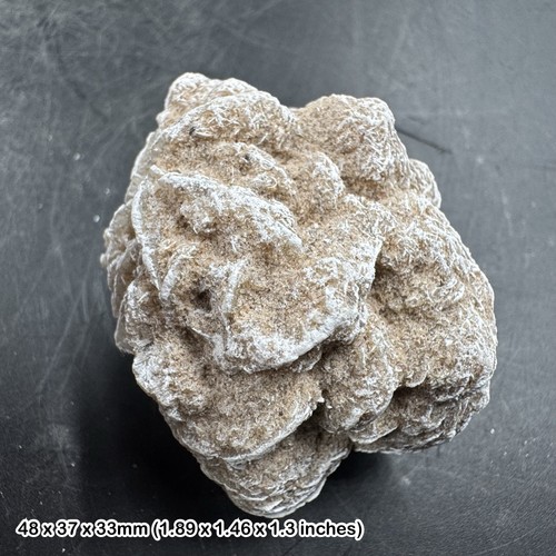 Selenite desert rose - rose, crystal