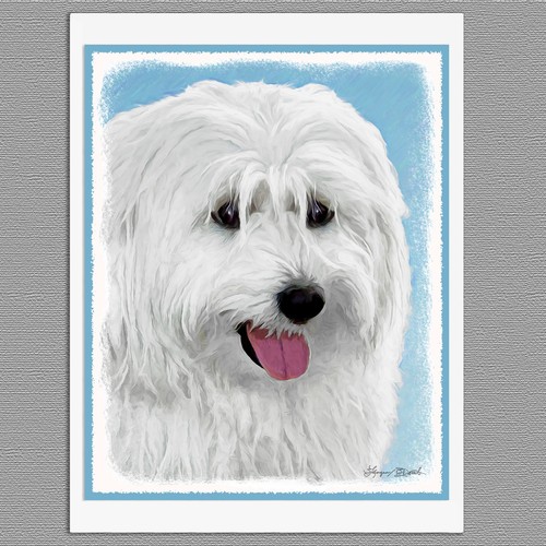 Polish lowland sheepdog dog - polish,