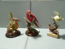 Country Artist X 3 Birds