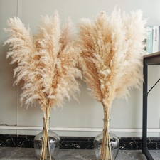 40" 10 Stems Natural Pampas