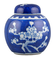 Chinese Porcelain Ginger Jar
