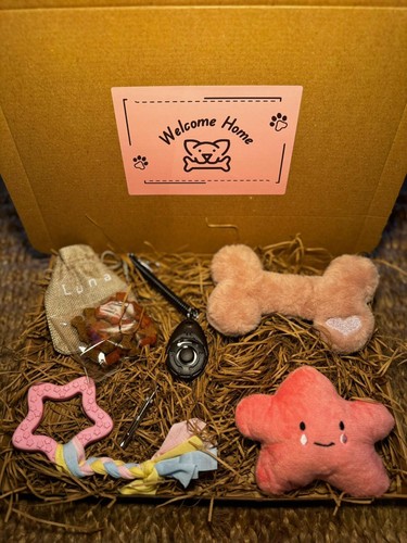 New puppy starter - pink, |