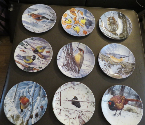 Danbury mint woodland - danbury,