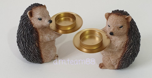 Home reflections hedgehog - home,