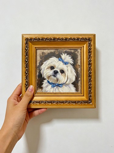 Maltese dog with - maltese,