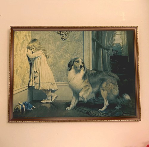 Special pleader 1893 - pleader, charles