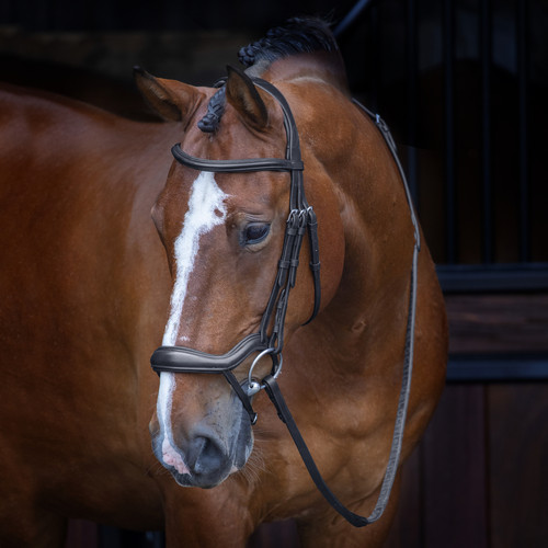 Shires velociti rapida - velociti,