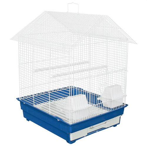 Kct lima blue plus - lima, bird