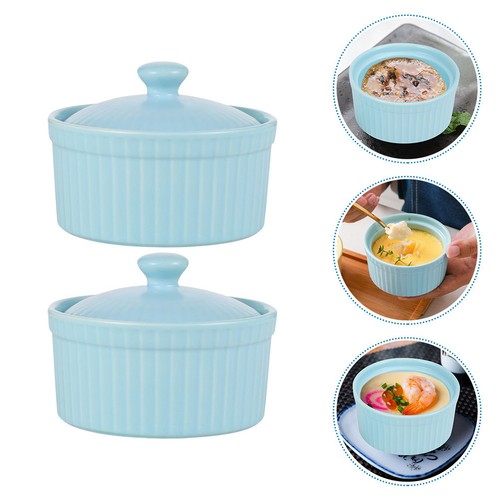 2pcs blue reusable - reusable, ceramic