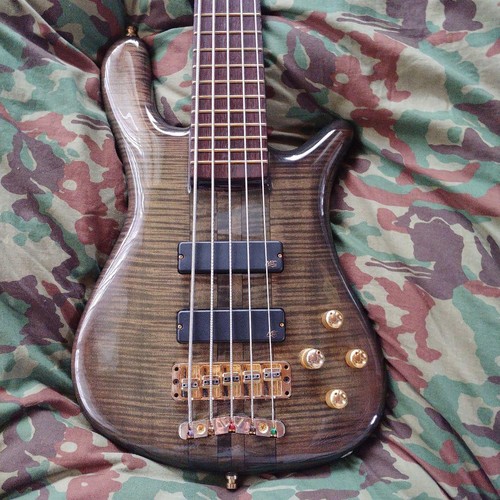 Warwick streamer stage - warwick,