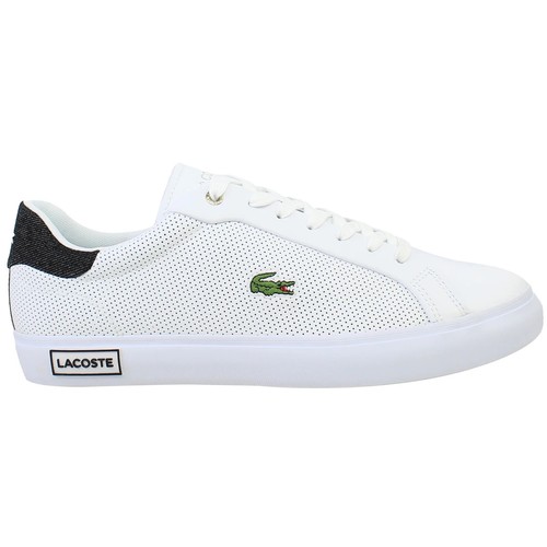 Lacoste men trainers - men's,